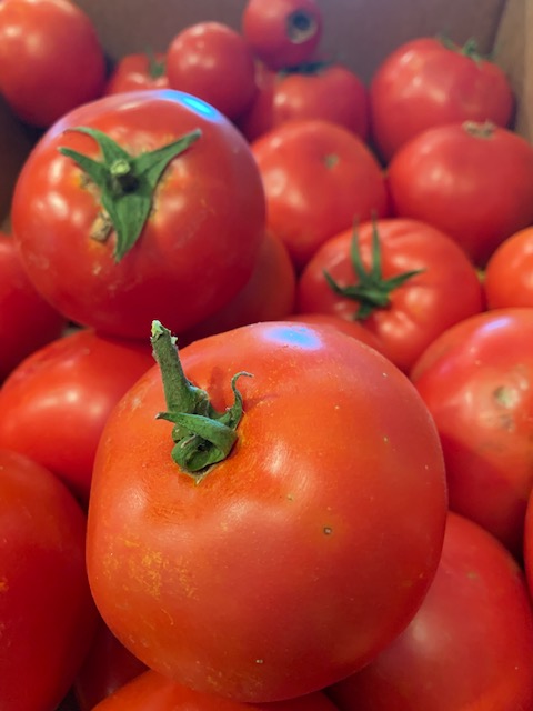 Close up tomato Seattle